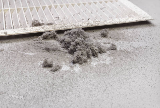 Best Affordable Duct Cleaning Services  in Bull Run, VA
