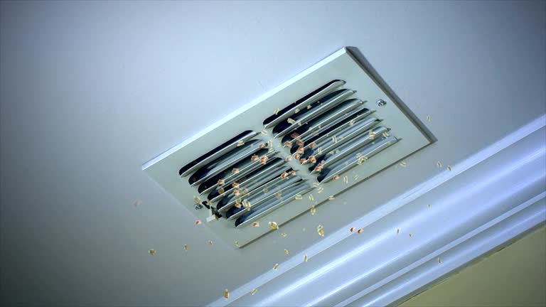 Best Residential Air Duct Cleaning  in Bull Run, VA